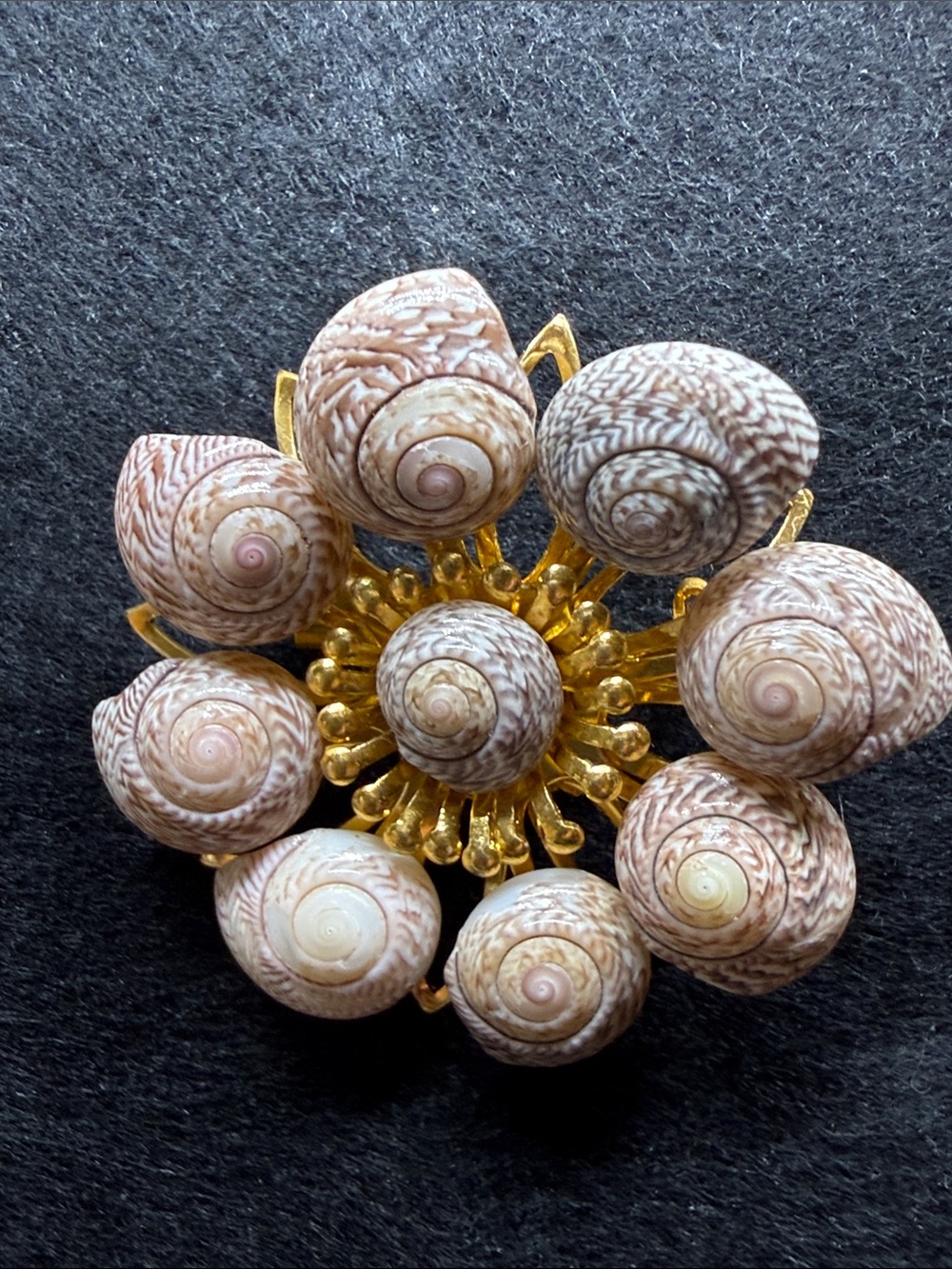 Vintage Sea Snail Shell Cluster Brooch Pin on Gold Toned Metal Base